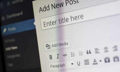 wordpress hosting