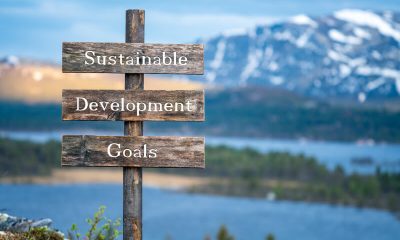 sdg
